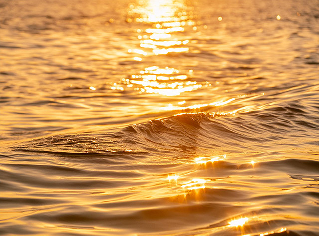 Nahaufnahme von sanften Wellen im Licht der untergehenden Sonne. Die Wellen wirken wie flüssiges Gold und glitzern im Licht.